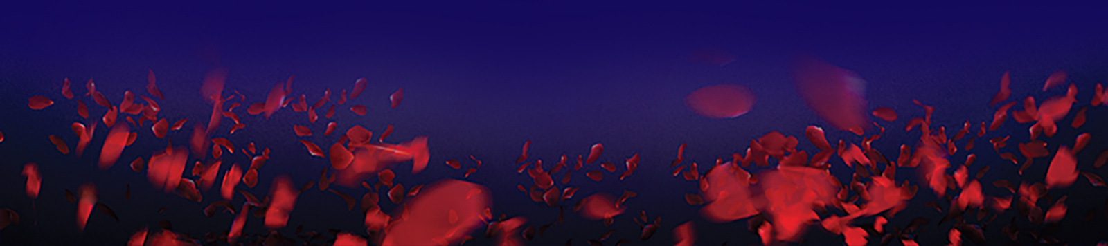 footer image